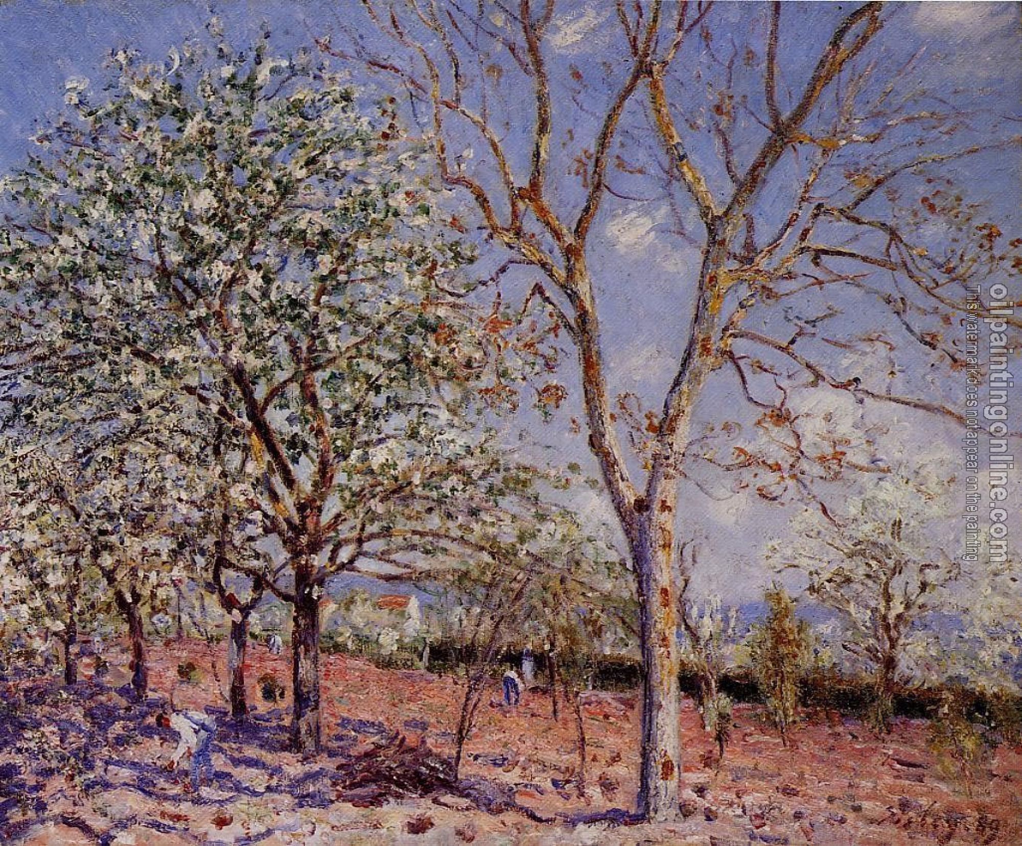 Sisley, Alfred - Plum and Walnut Trees in Spring